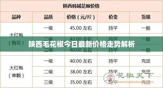 陕西毛花椒今日最新价格走势解析