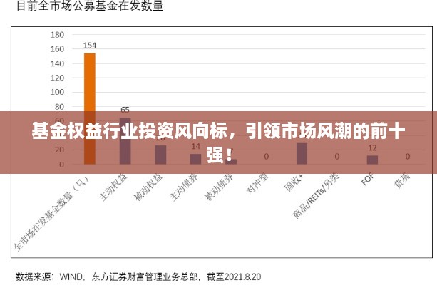 基金权益行业投资风向标，引领市场风潮的前十强！