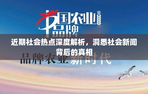 近期社会热点深度解析，洞悉社会新闻背后的真相