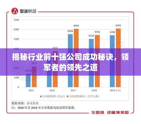 揭秘行业前十强公司成功秘诀，领军者的领先之道