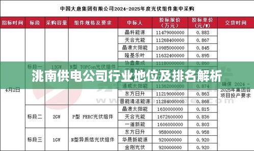 洮南供电公司行业地位及排名解析