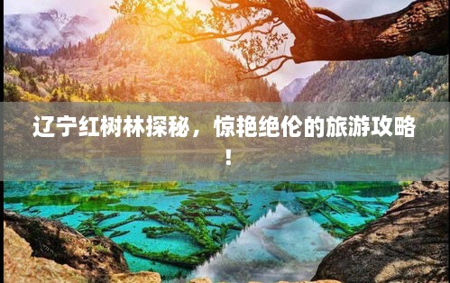 辽宁红树林探秘，惊艳绝伦的旅游攻略！