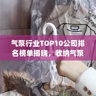 气泵行业TOP10公司排名榜单揭晓，收纳气泵公司引领市场潮流！