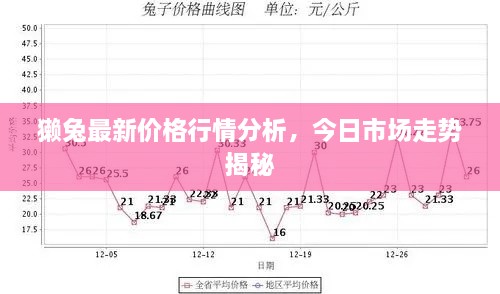 獭兔最新价格行情分析，今日市场走势揭秘