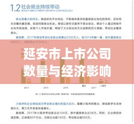 延安市上市公司数量与经济影响力揭秘，排名背后的增长故事