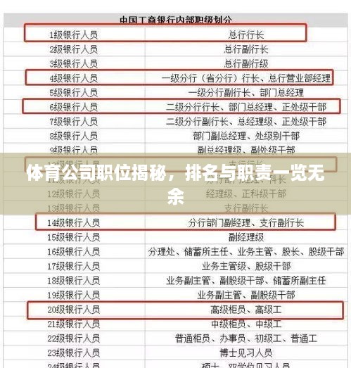 体育公司职位揭秘，排名与职责一览无余