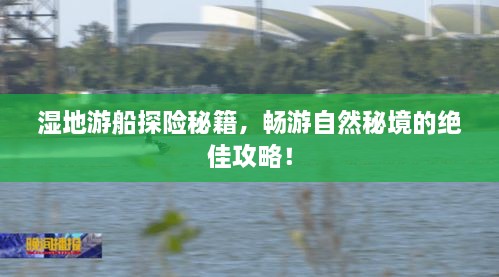 湿地游船探险秘籍，畅游自然秘境的绝佳攻略！