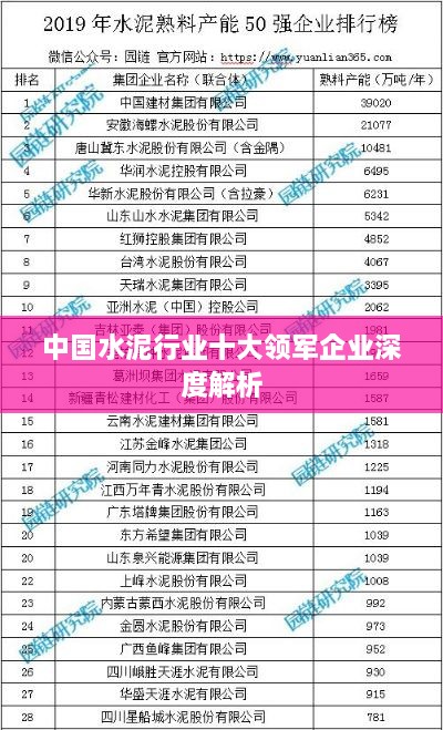 中国水泥行业十大领军企业深度解析
