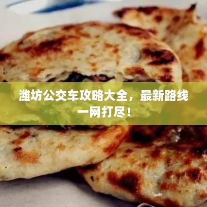 潍坊公交车攻略大全，最新路线一网打尽！