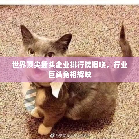 世界顶尖插头企业排行榜揭晓，行业巨头竞相辉映