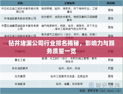 钻井堵漏公司行业排名揭秘，影响力与服务质量一览