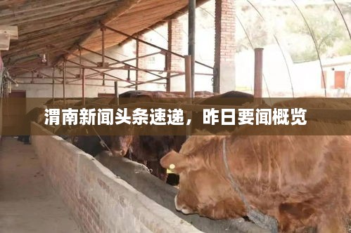 渭南新闻头条速递，昨日要闻概览