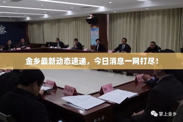 金乡最新动态速递，今日消息一网打尽！