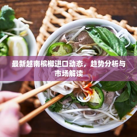 最新越南槟榔进口动态，趋势分析与市场解读