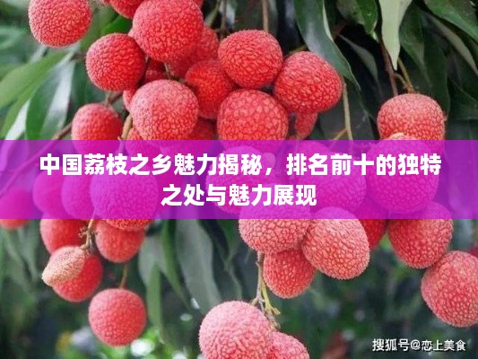 中国荔枝之乡魅力揭秘，排名前十的独特之处与魅力展现