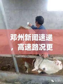 邓州新闻速递，高速路况更新与发展动态一网打尽