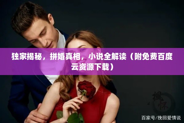 独家揭秘，拼婚真相，小说全解读（附免费百度云资源下载）