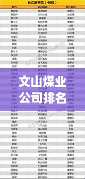 文山煤业公司排名及行业地位揭秘