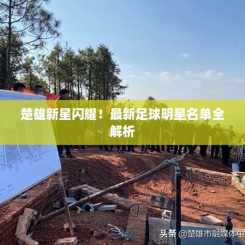 楚雄新星闪耀！最新足球明星名单全解析