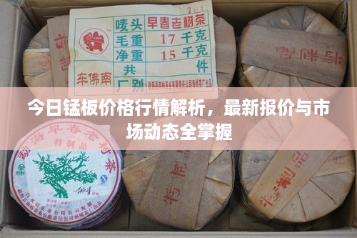 今日锰板价格行情解析，最新报价与市场动态全掌握