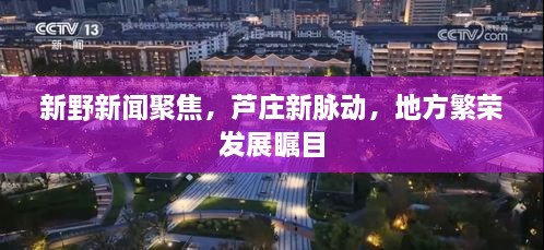 新野新闻聚焦，芦庄新脉动，地方繁荣发展瞩目