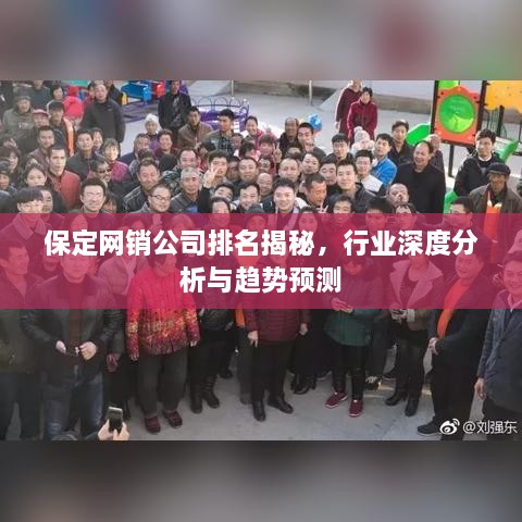 保定网销公司排名揭秘，行业深度分析与趋势预测